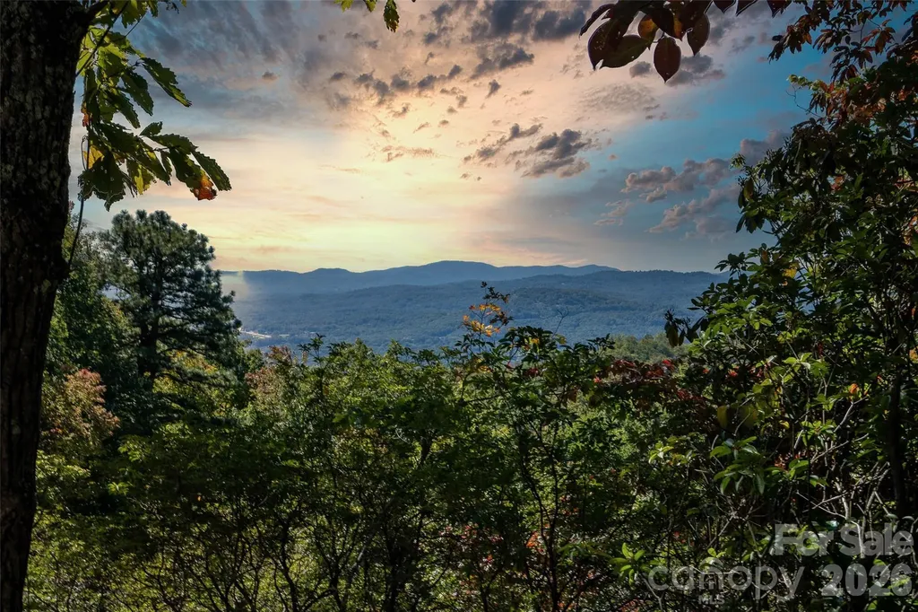 99999 Mountain Grove Lane Fletcher NC 28732