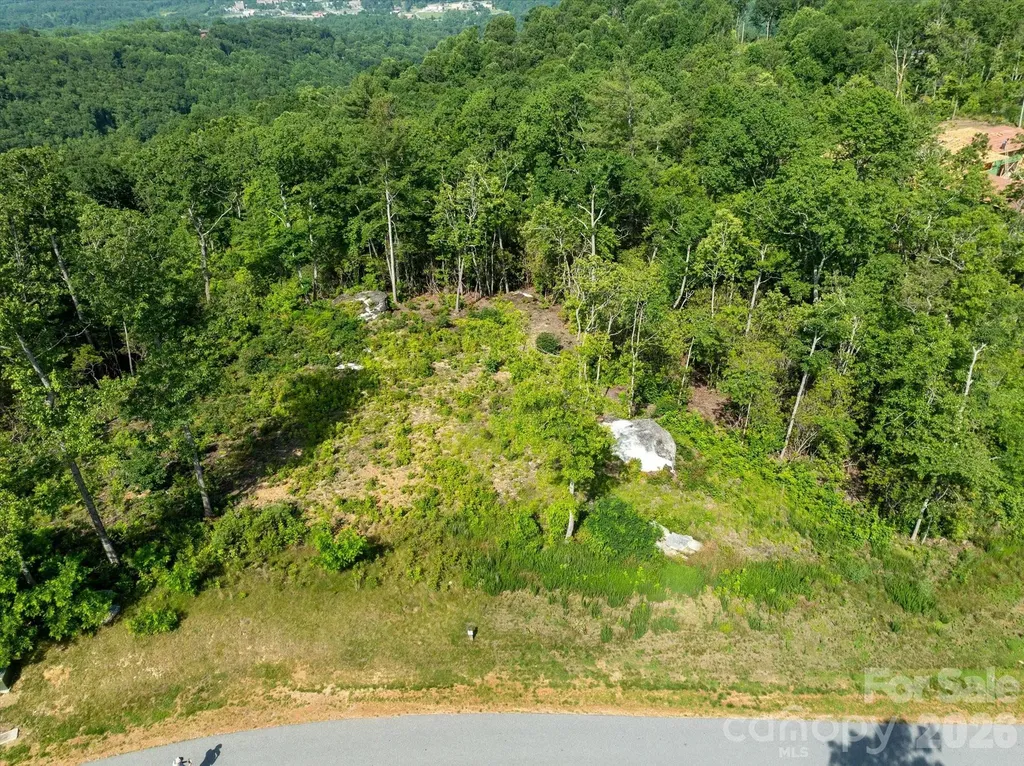99999 Mountain Grove Lane Fletcher NC 28732