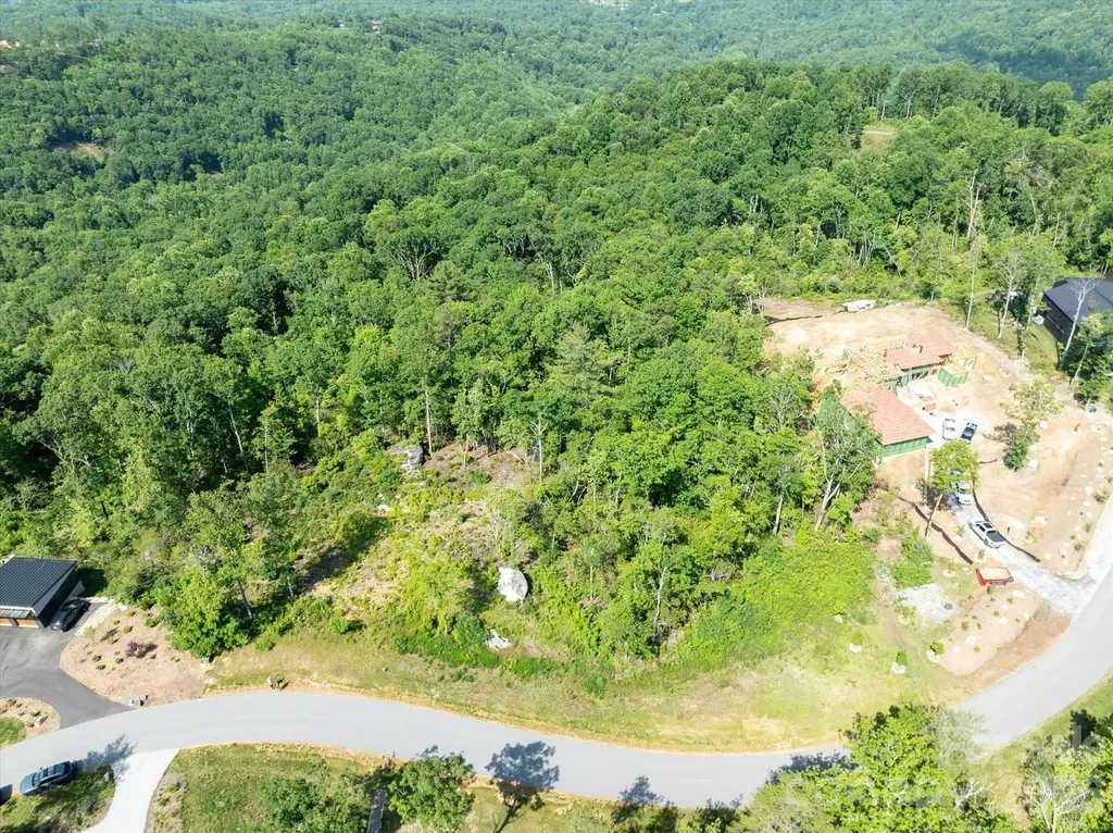 99999 Mountain Grove Lane Fletcher NC 28732