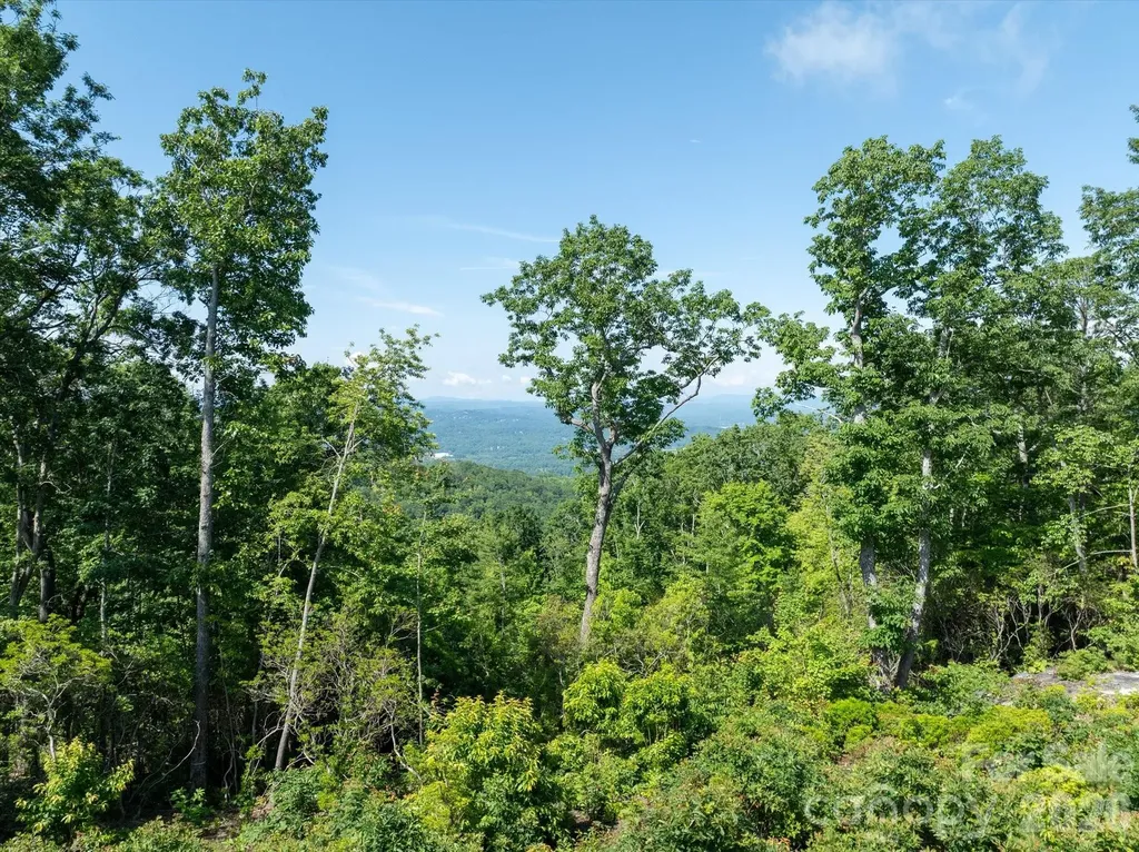 99999 Mountain Grove Lane Fletcher NC 28732