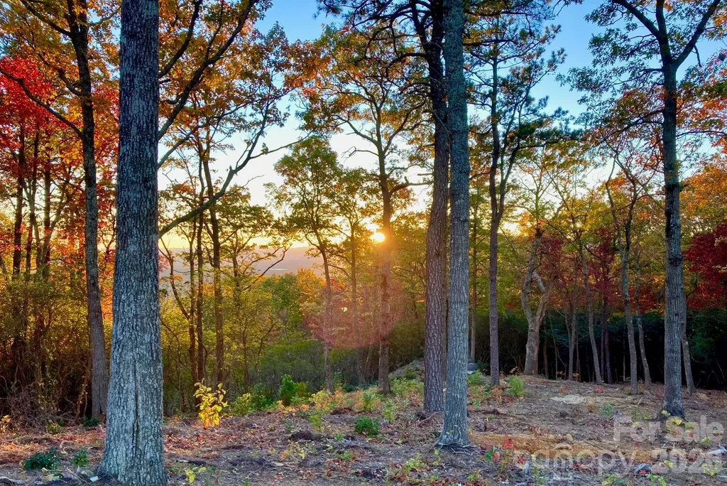 99999 Mountain Grove Lane Fletcher NC 28732