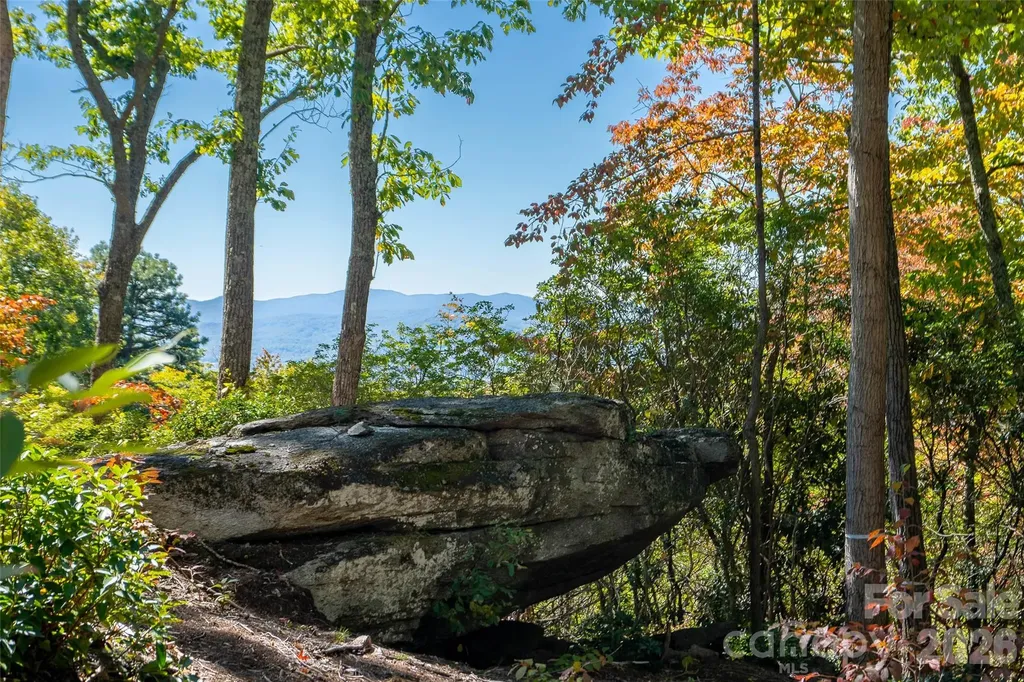 99999 Mountain Grove Lane Fletcher NC 28732