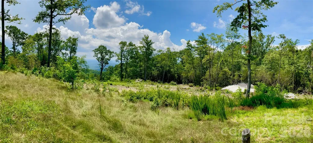 99999 Mountain Grove Lane Fletcher NC 28732