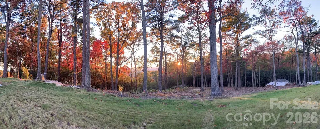 99999 Mountain Grove Lane Fletcher NC 28732
