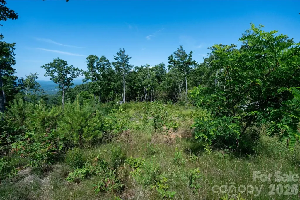 99999 Mountain Grove Lane Fletcher NC 28732