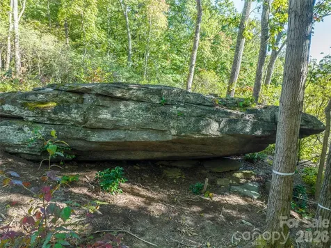 99999 Mountain Grove Lane Fletcher NC 28732