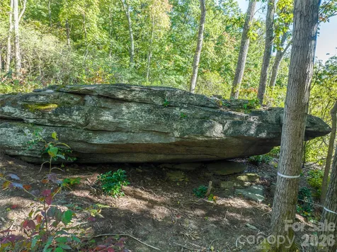 99999 Mountain Grove Lane Fletcher NC 28732