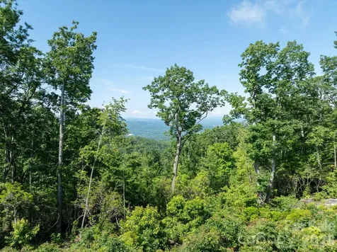 99999 Mountain Grove Lane Fletcher NC 28732