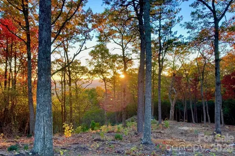 99999 Mountain Grove Lane Fletcher NC 28732