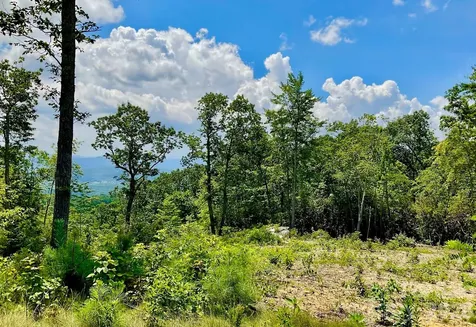 99999 Mountain Grove Lane Fletcher NC 28732