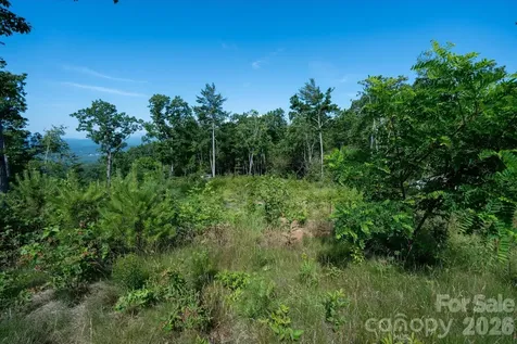 99999 Mountain Grove Lane Fletcher NC 28732