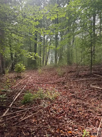 4941 Helton Road Granite Falls NC 28630