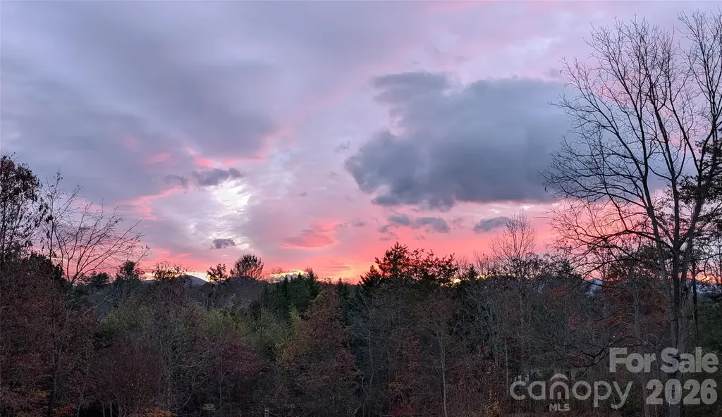 38 Chadwick Wade Drive Asheville NC 28804