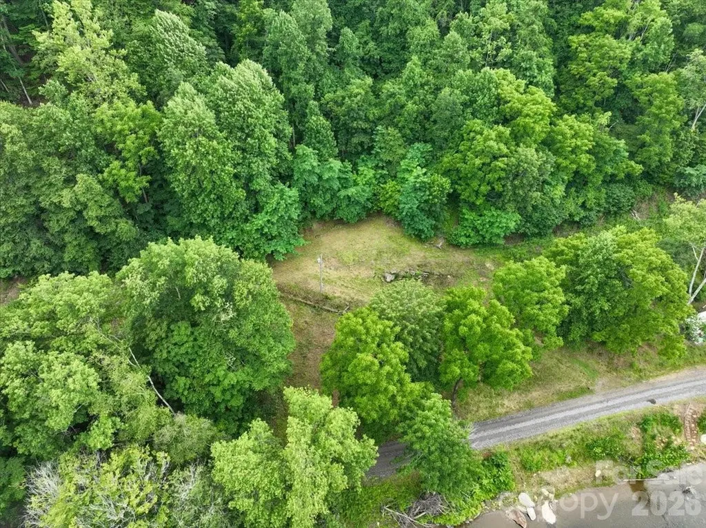 2079 Roses Branch Road Green Mountain NC 28740