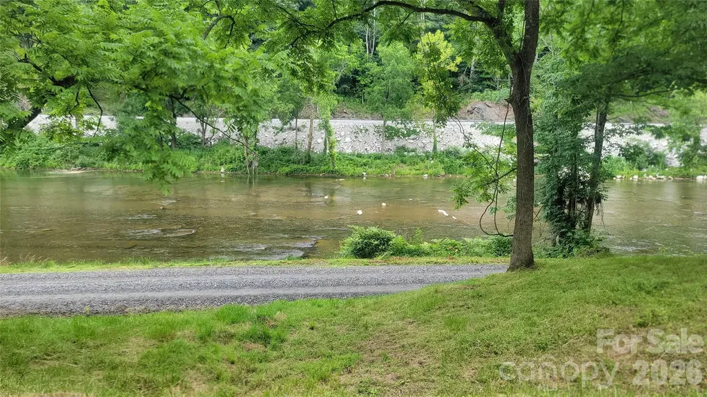 2079 Roses Branch Road Green Mountain NC 28740
