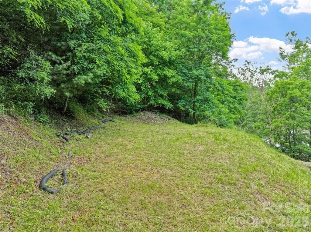 2079 Roses Branch Road Green Mountain NC 28740