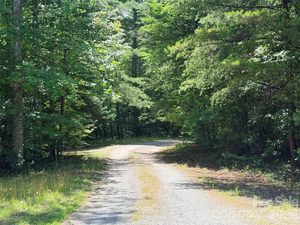 00 Grassy Knob Road Mill Spring NC 28756