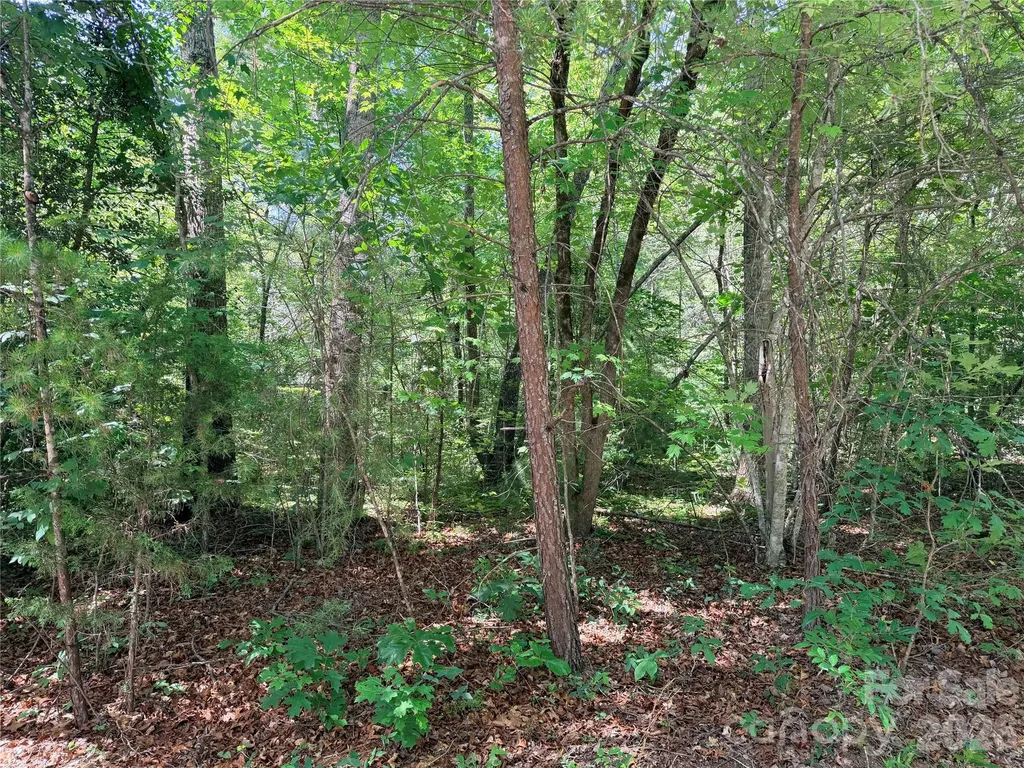 00 Grassy Knob Road Mill Spring NC 28756