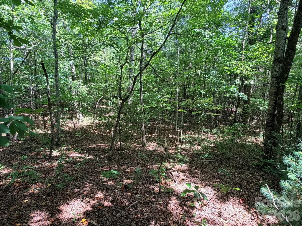 00 Grassy Knob Road Mill Spring NC 28756