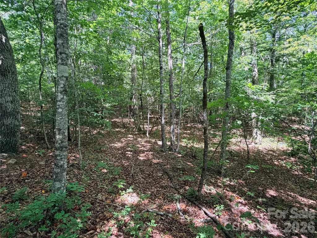 00 Grassy Knob Road Mill Spring NC 28756