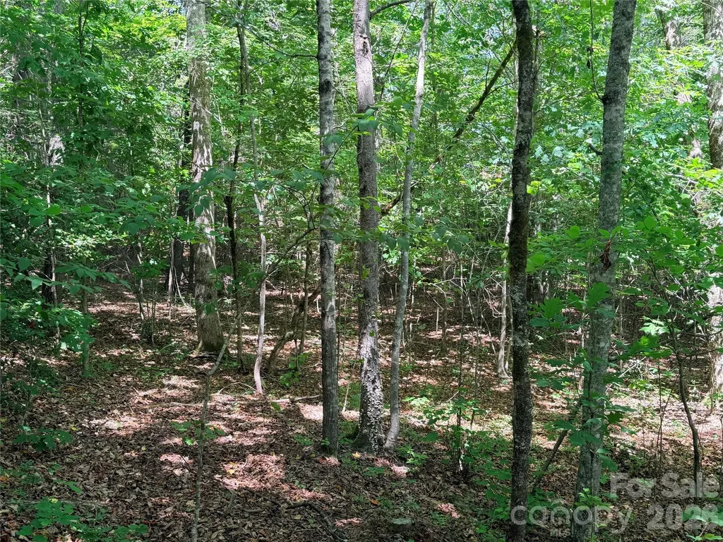 00 Grassy Knob Road Mill Spring NC 28756