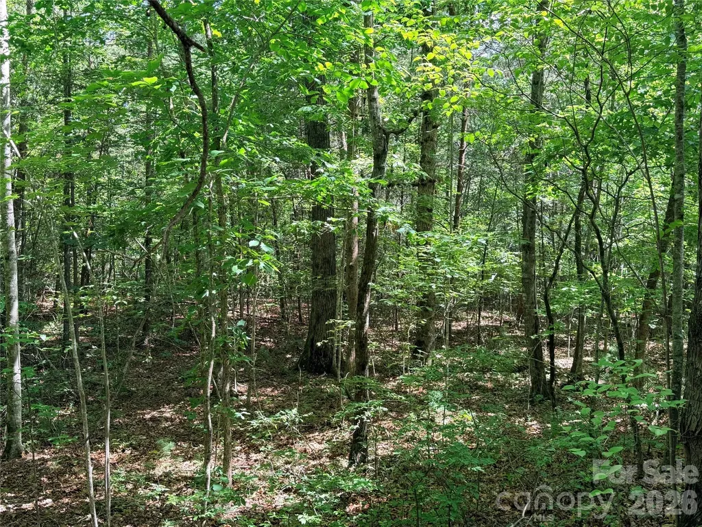 00 Grassy Knob Road Mill Spring NC 28756