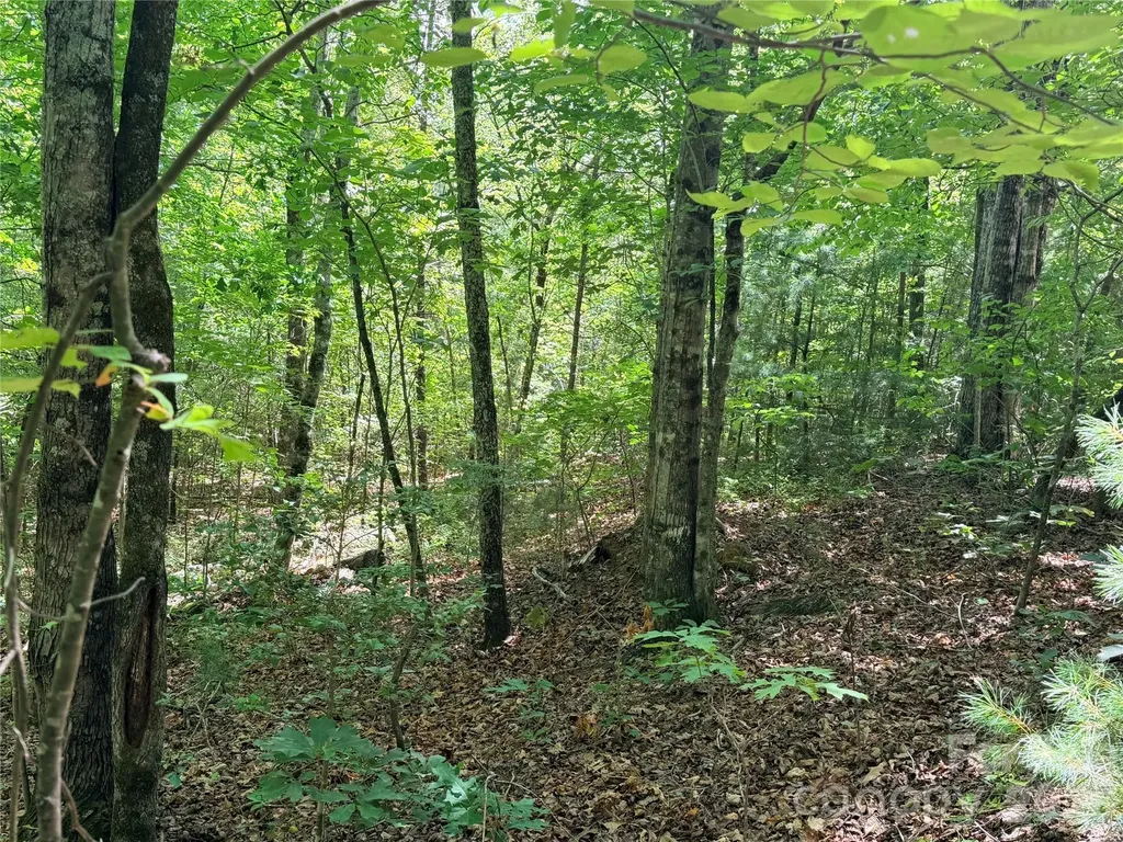 00 Grassy Knob Road Mill Spring NC 28756