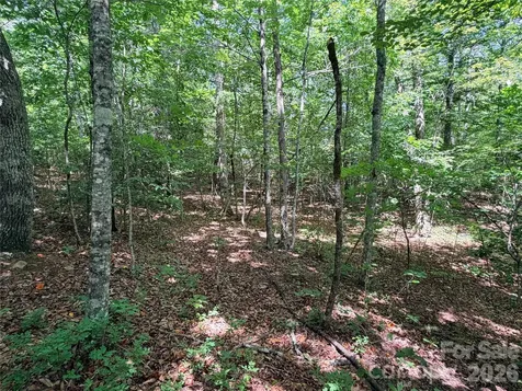 00 Grassy Knob Road Mill Spring NC 28756