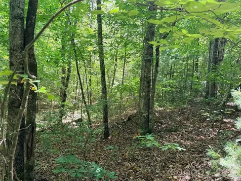 00 Grassy Knob Road Mill Spring NC 28756