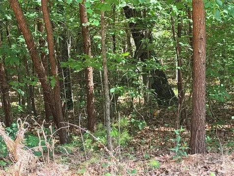 00 Grassy Knob Road Mill Spring NC 28756