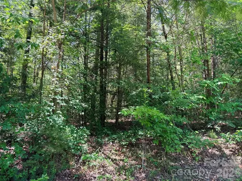00 Grassy Knob Road Mill Spring NC 28756
