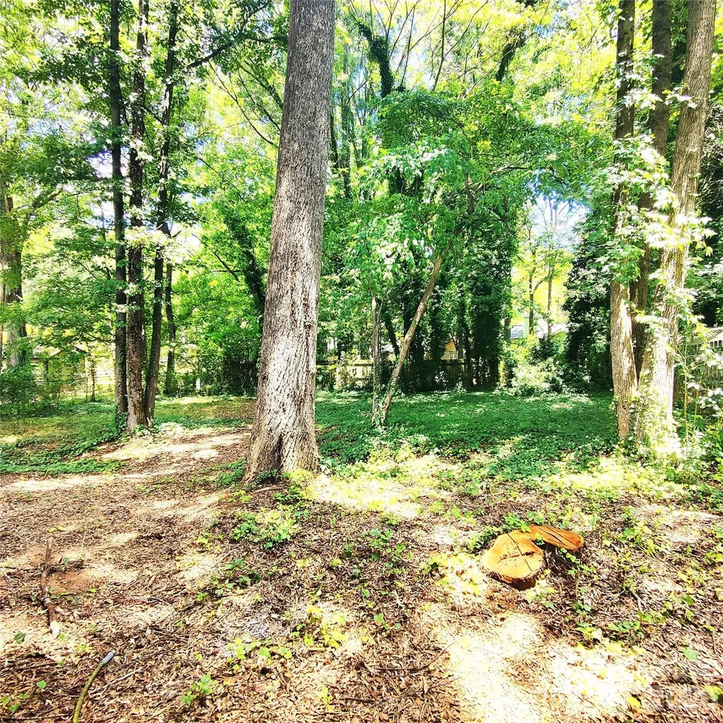 5101 Glenview Court Charlotte NC 28215