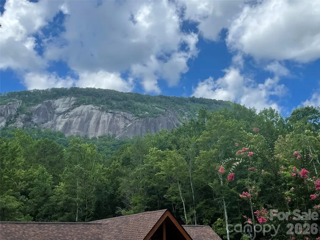 282 Quail Ridge Road Lake Lure NC 28746