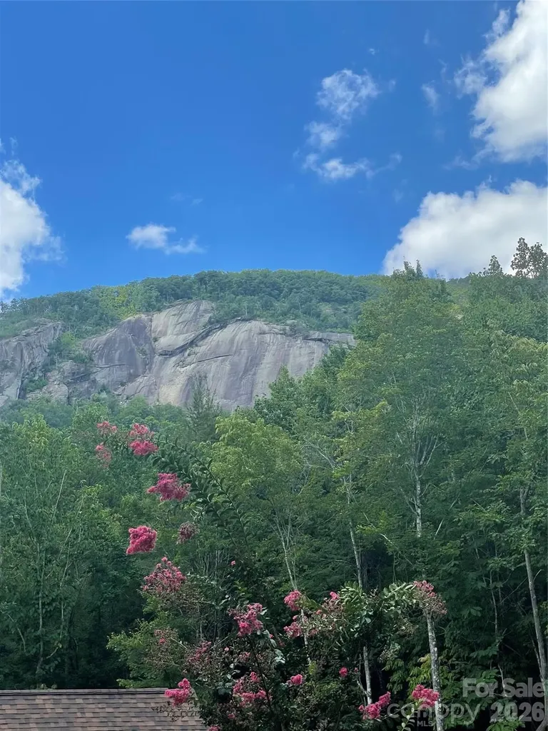 282 Quail Ridge Road Lake Lure NC 28746