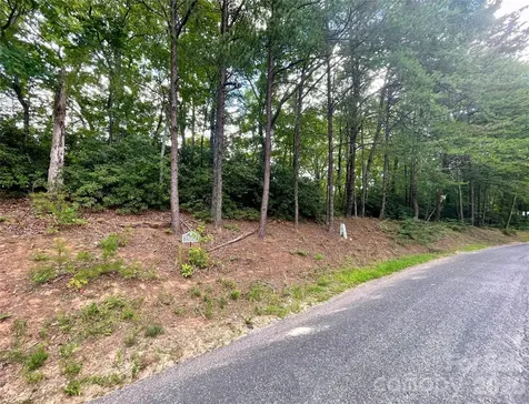 282 Quail Ridge Road Lake Lure NC 28746