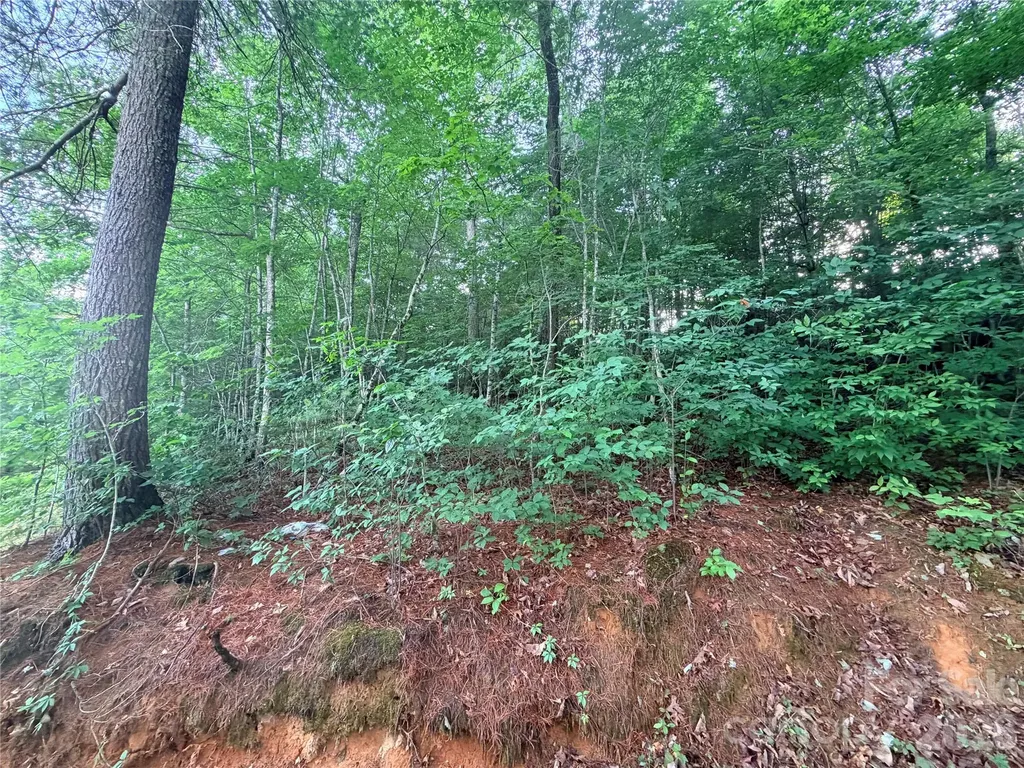0 Silverglen Way Hendersonville NC 28792