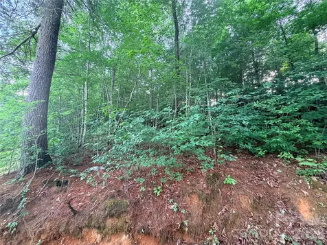 0 Silverglen Way Hendersonville NC 28792