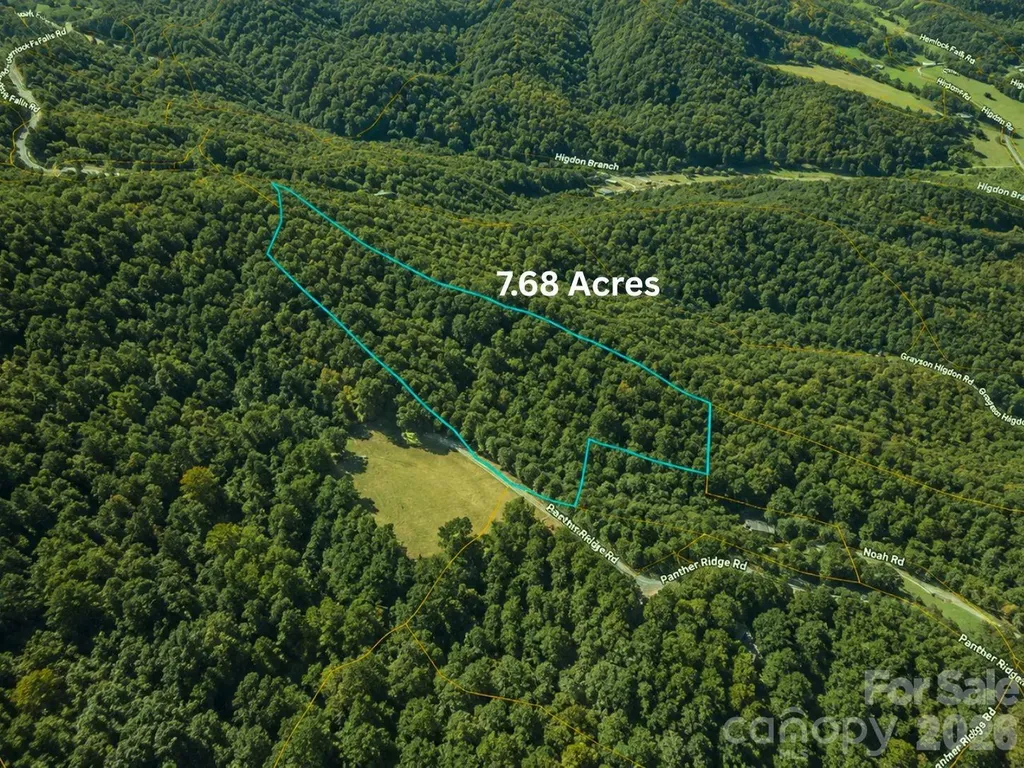 01 Panther Ridge Lane Franklin NC 28734