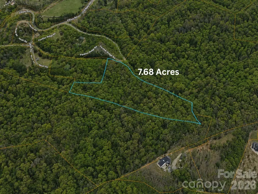 01 Panther Ridge Lane Franklin NC 28734