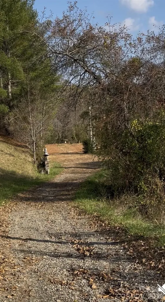 11 New Home Road Marshall NC 28753