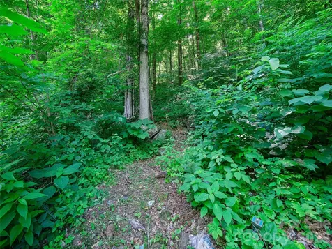 311 Old Sawmill Road Burnsville NC 28714