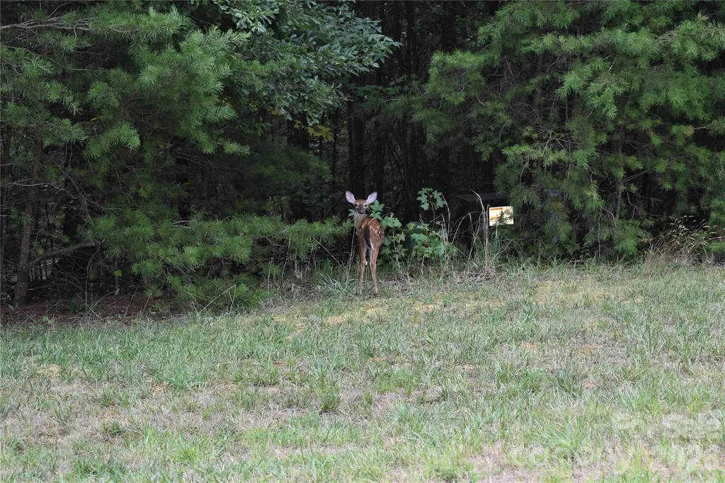 145 Badin View Drive Badin Lake NC 28127