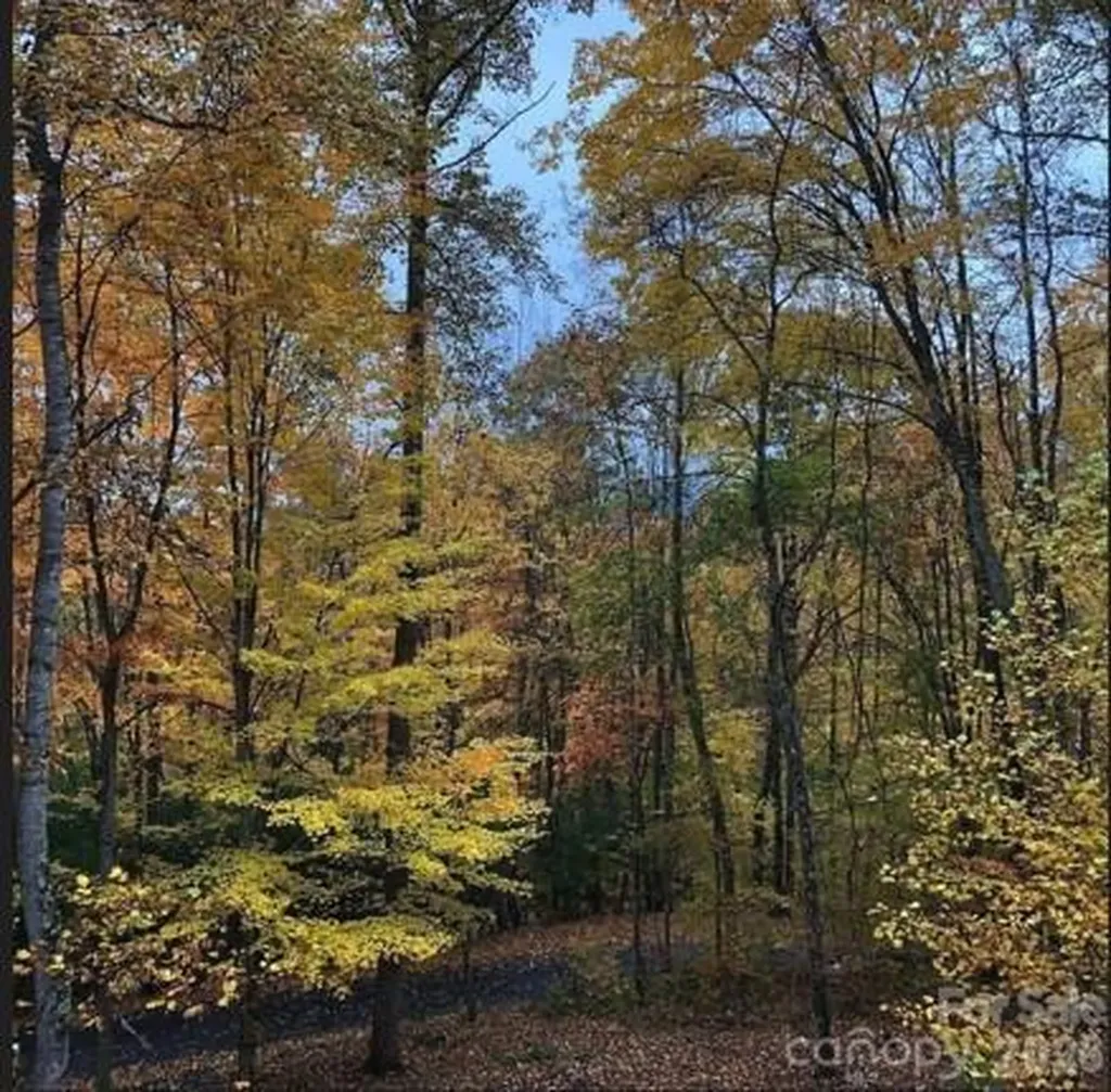 49 Brandywine Road Waynesville NC 28786