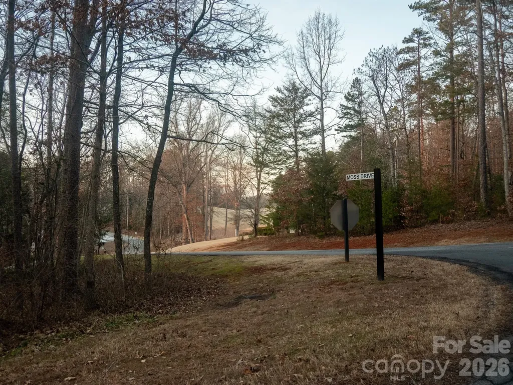 00 Moss Drive Rutherfordton NC 28139