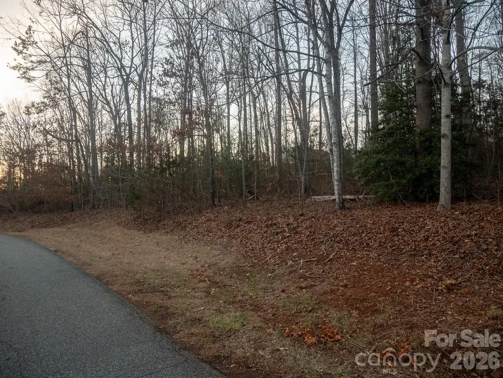 0 Plantation Drive Rutherfordton NC 28139
