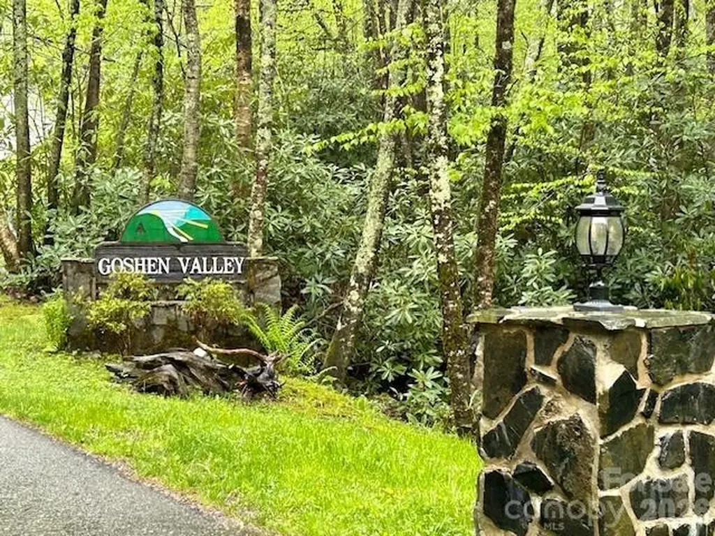 Tbd Goshen Drive Boone NC 28607