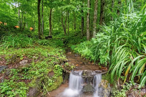 1210 Blevins Branch Road Bakersville NC 28705