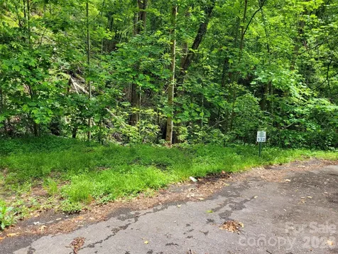 Tbd Bear River Lodge Road Marshall NC 28753