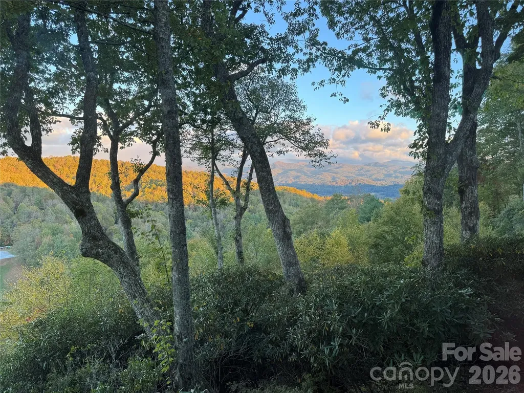 298 Tinequa Drive Brevard NC 28712
