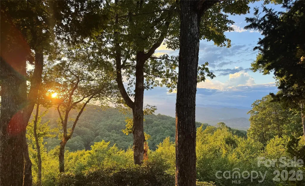 298 Tinequa Drive Brevard NC 28712